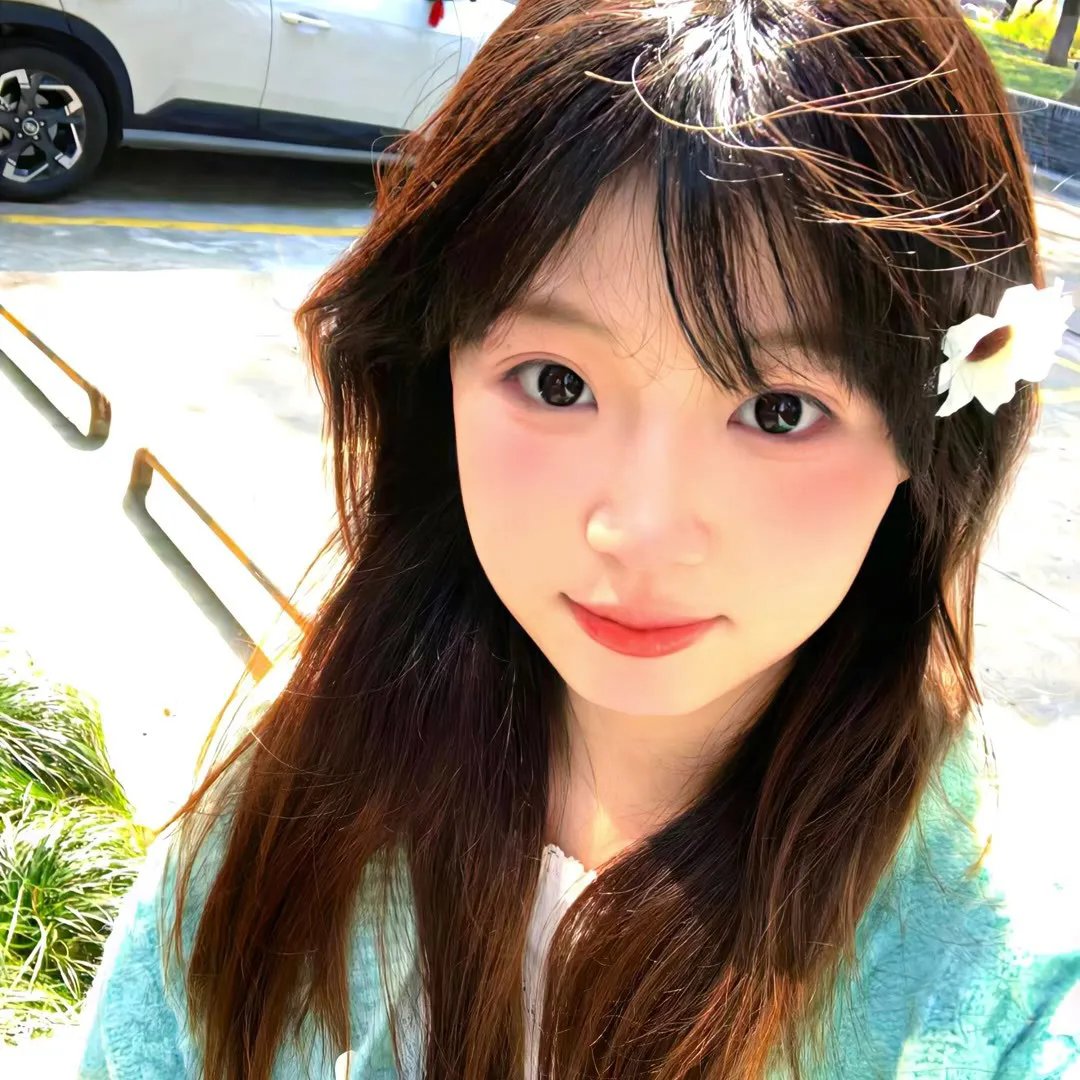 朝朝雾雾